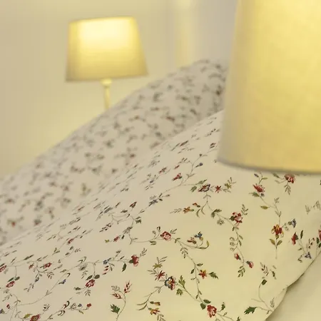 Guest house Old House